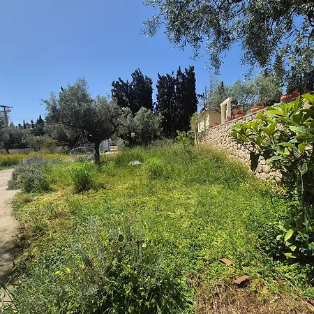 Ancora Vila