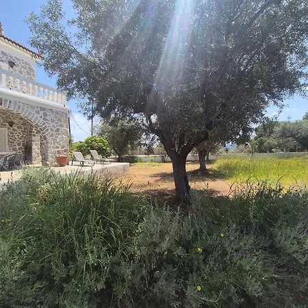 Vila Ancora *